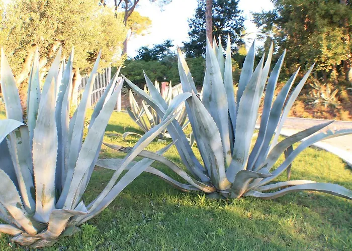 Il Parco Sul Mare & Tortoreto